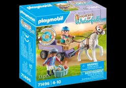 Ponykutsche-PLAYMOBIL Sale